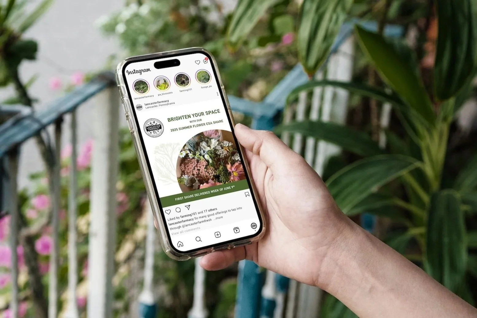 Lancaster Farmacy Social Graphics and Flyer