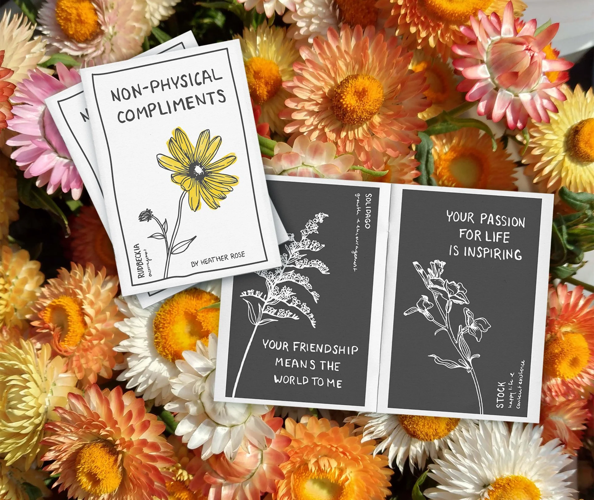 Non-Physical Compliments zine shown against strawflower image.
