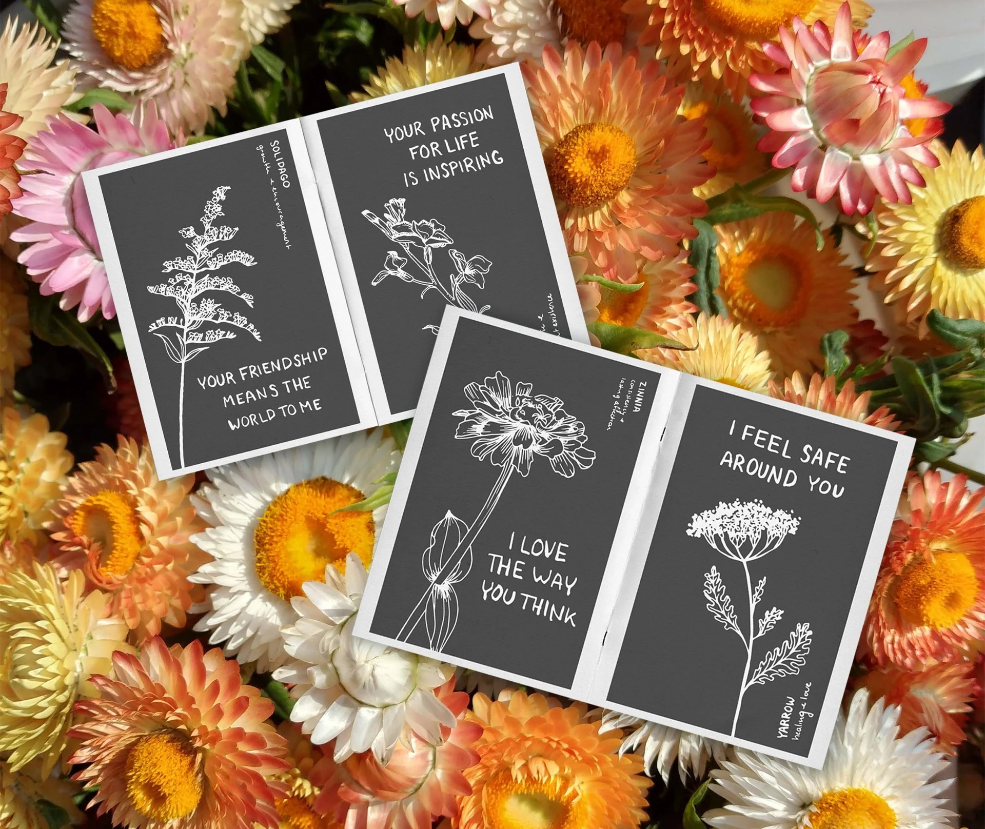 Two open zine pages with drawn flowers on top of strawflower image.