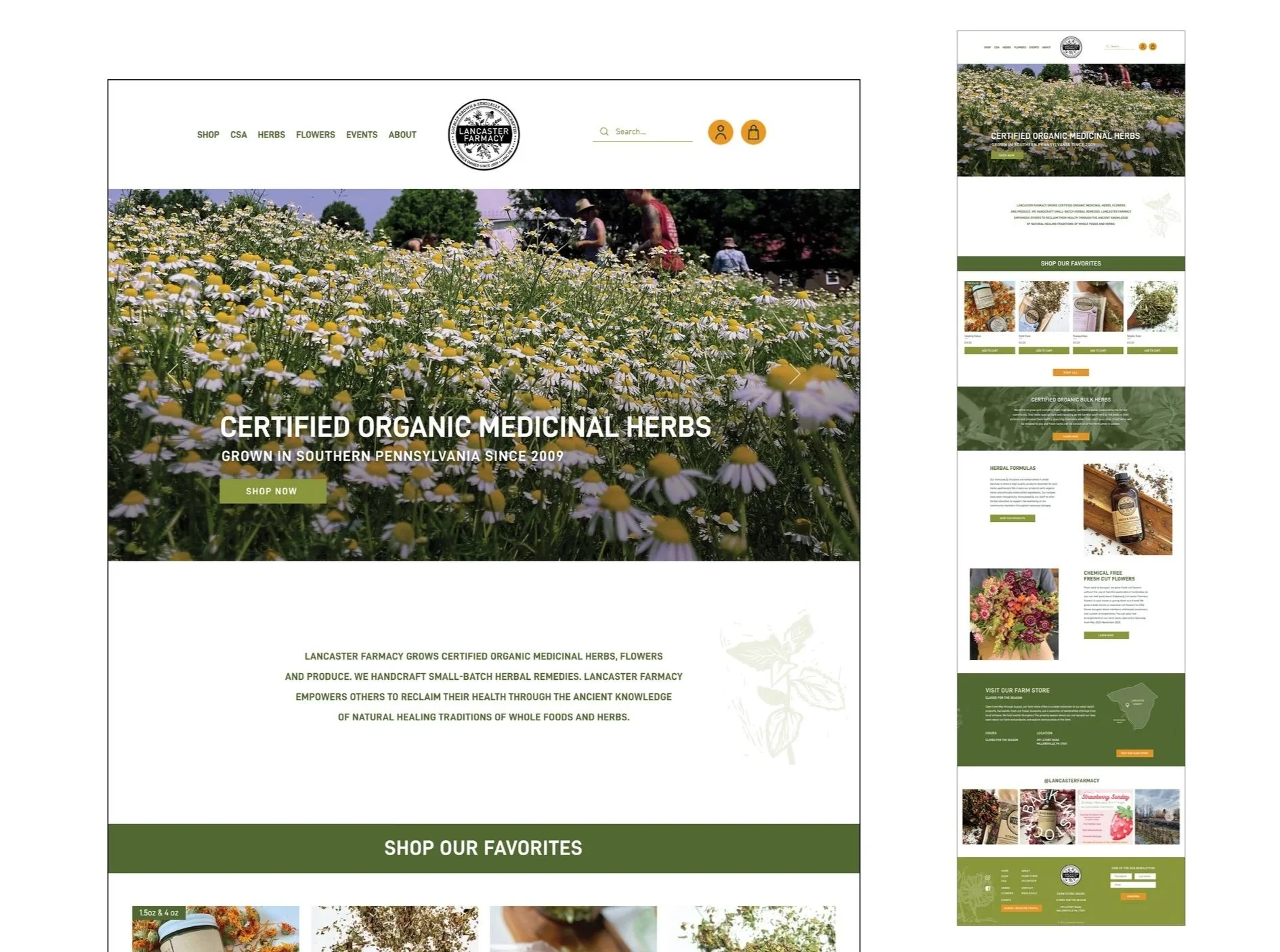 Image of Lancaster Farmacy's Website Redesign.