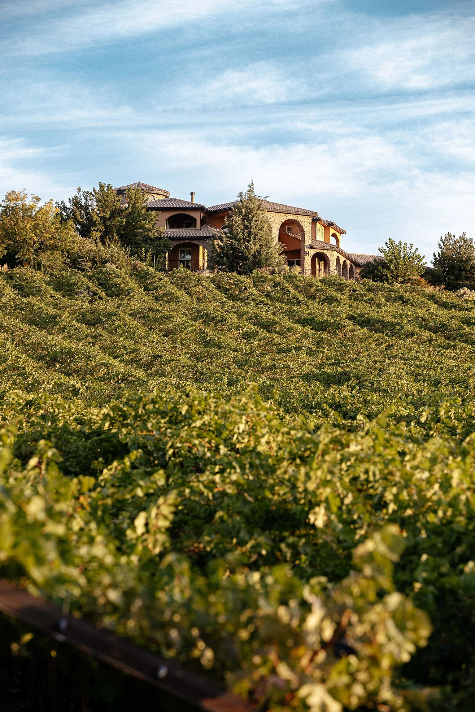 Kustlijn Cellars tasting room overlooking estate vineyards in the Eagle Foothills AVA, Idaho