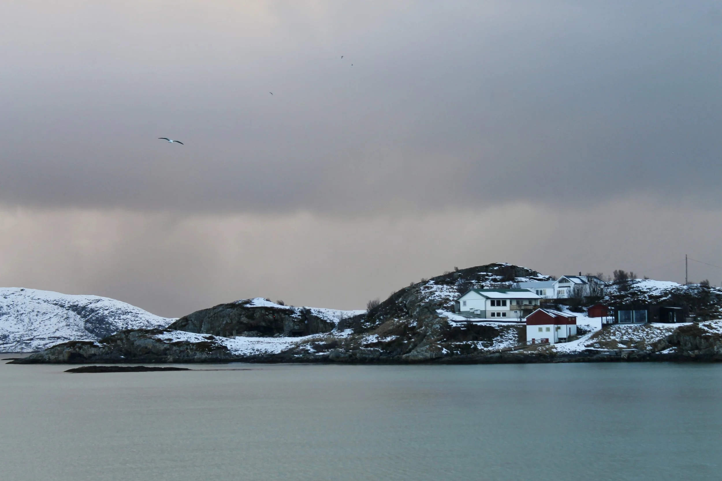 IMG_8253.jpg