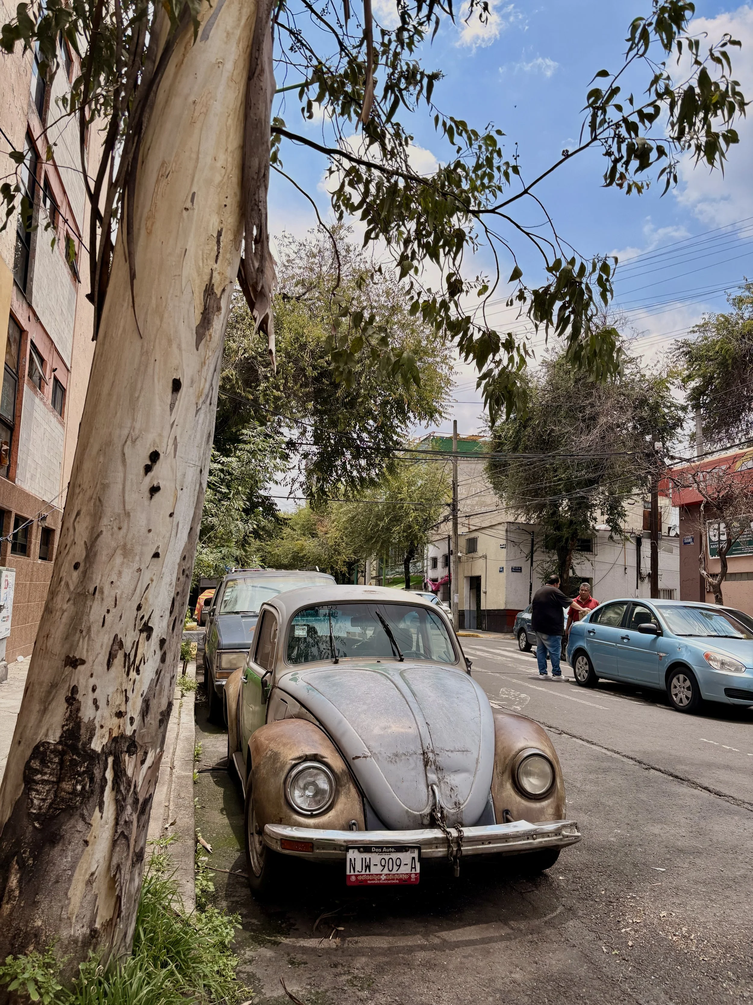 Mexico City - Mexico