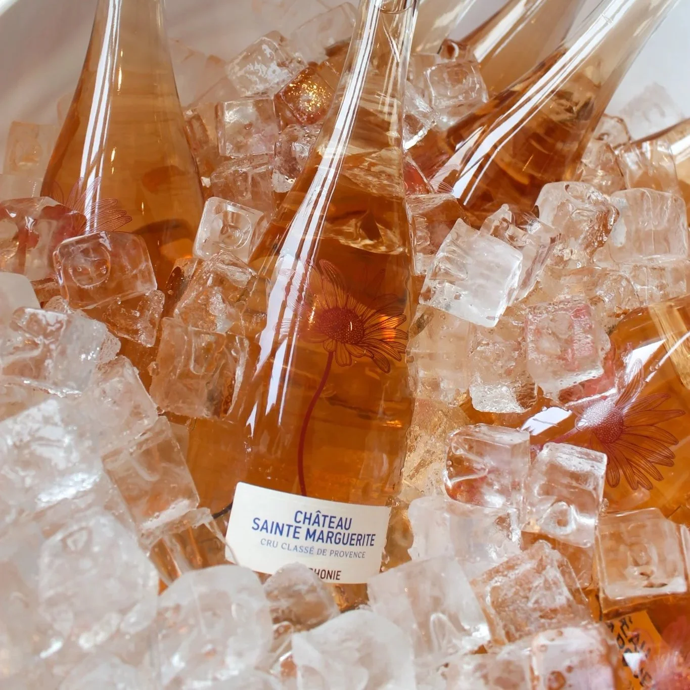 Château Sainte Marguerite Terrace Launch