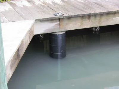 Close-up of a boat dock showing a black pipe extending into murky water.