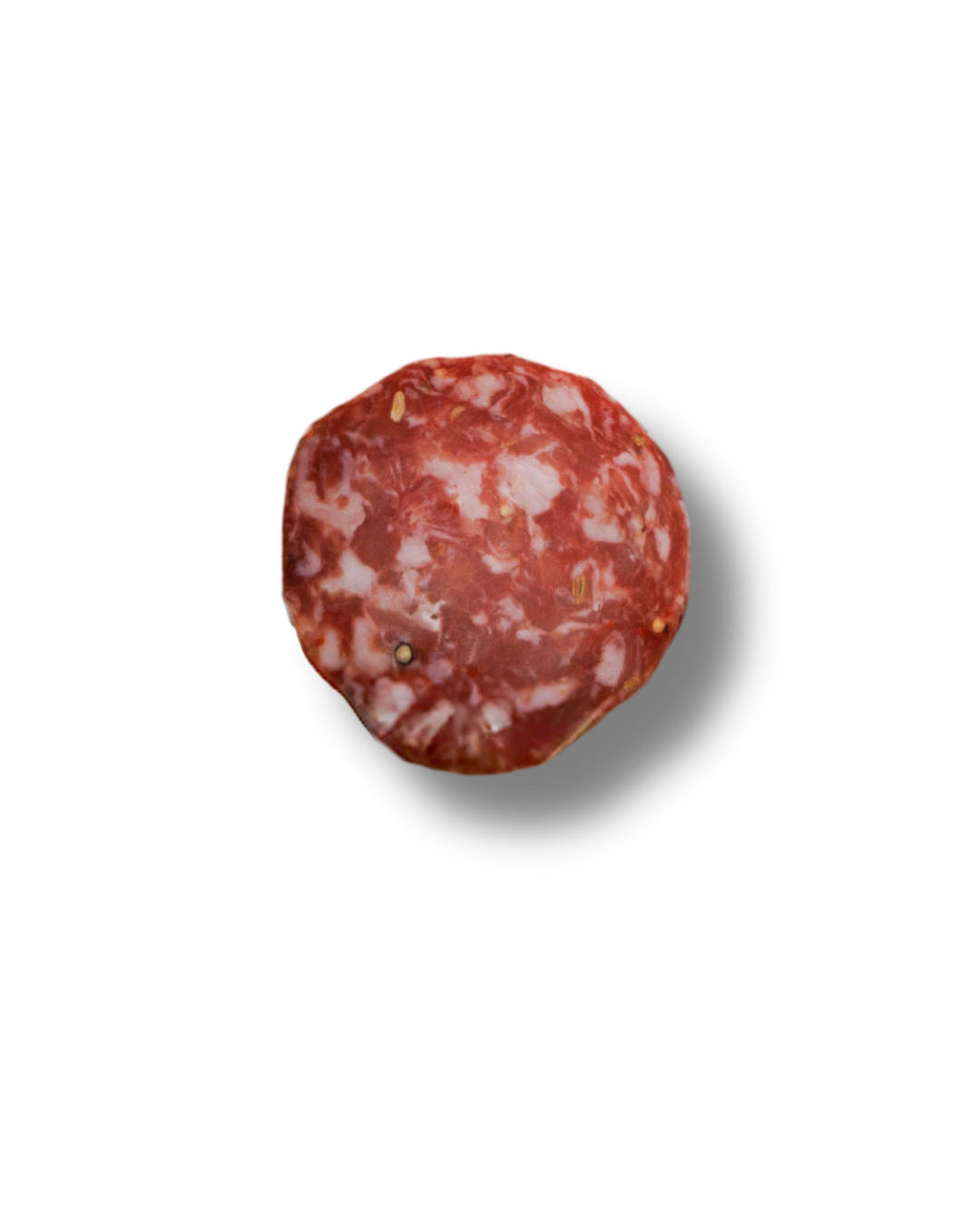 Single slice of soppressata against a white background.