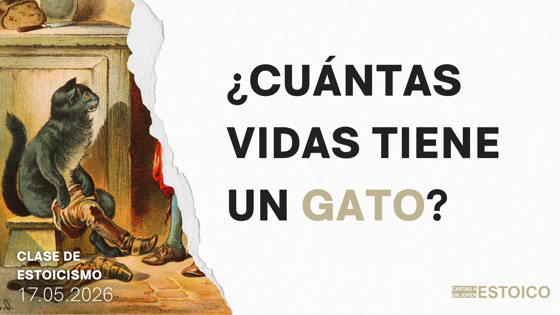 ¿Cuántas vidas tiene un gato?