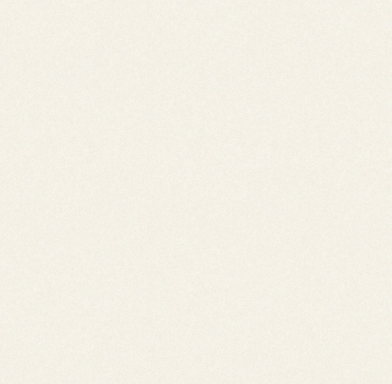 This is a blank, off-white textured background.