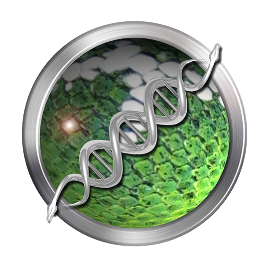 Basin Emerald Tree Boa