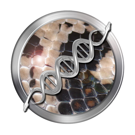 Inland Carpet Python