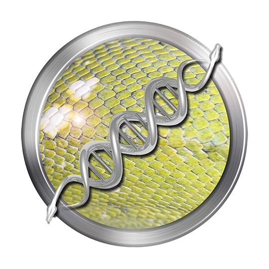 Biak Archipelago Green Python