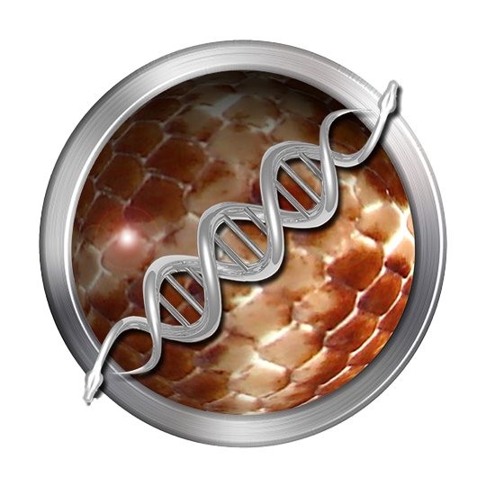 Eastern Stimsons Python