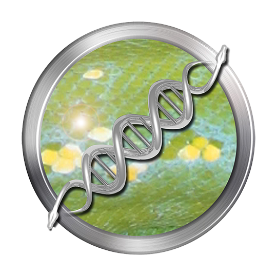 North Western Green Python