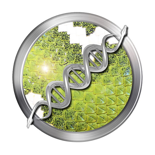 Northern Emerald Tree Boa