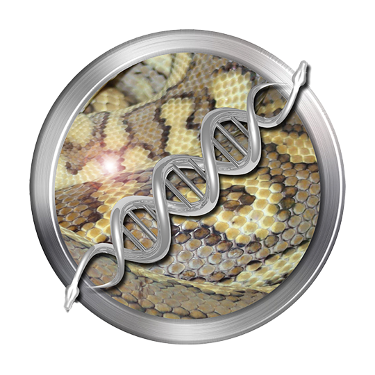 Southern Coastal Carpet Python