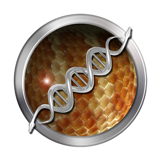 Western Stimsons Python