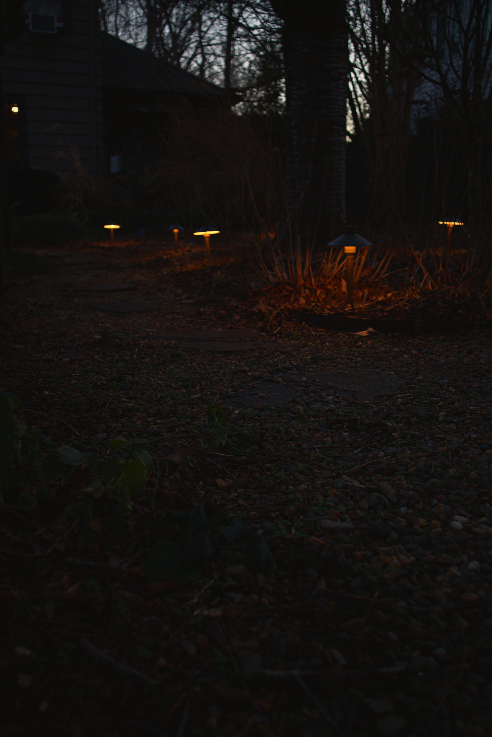 A distant photo of warm LED low-voltage landscape lighting path lights.