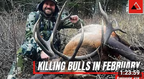 What to FOCUS on now to kill Elk in September.