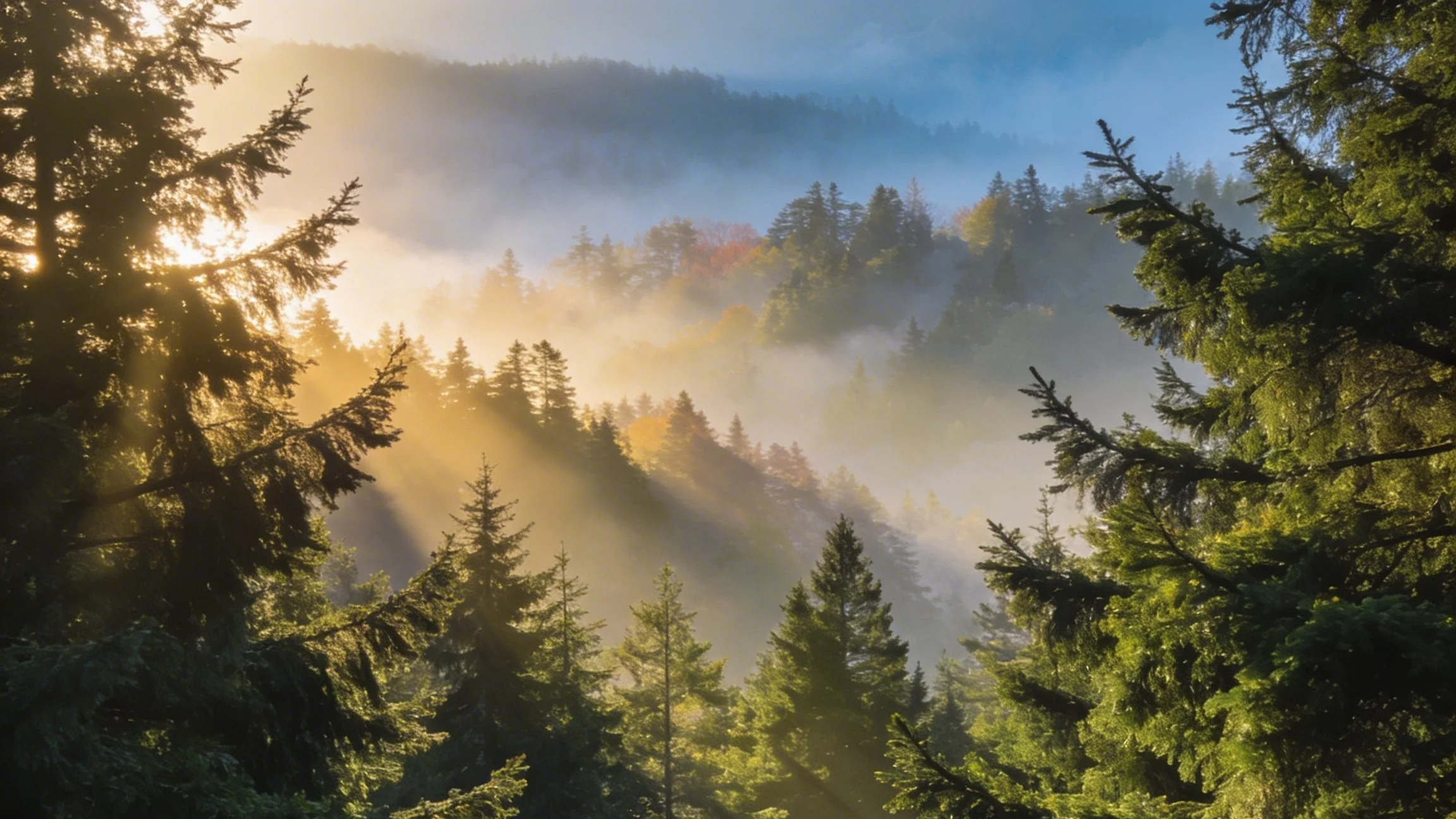 Montana Wildlife Groups Step Up for Roadless Rule Public Input After Forest Service Silence