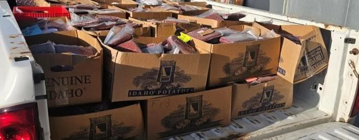 PROBLEM ELK TO BE KILLED.