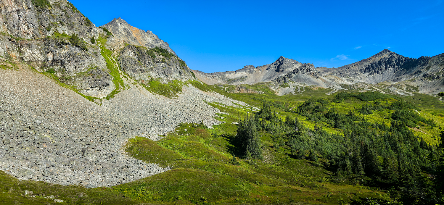 Defend Our Right to Hunt