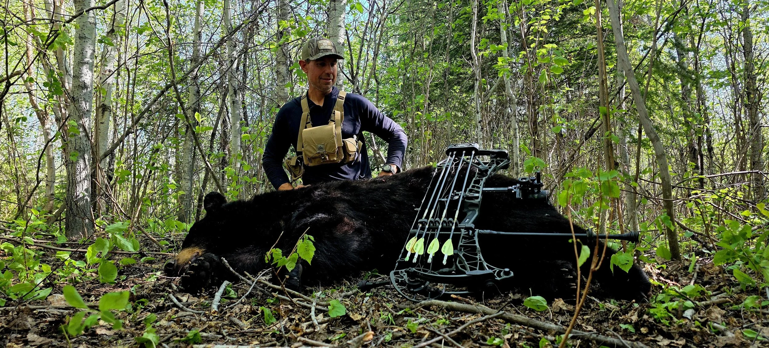 Finding Spring Bears: How Elevation, Slope, and Patience Stack the Odds