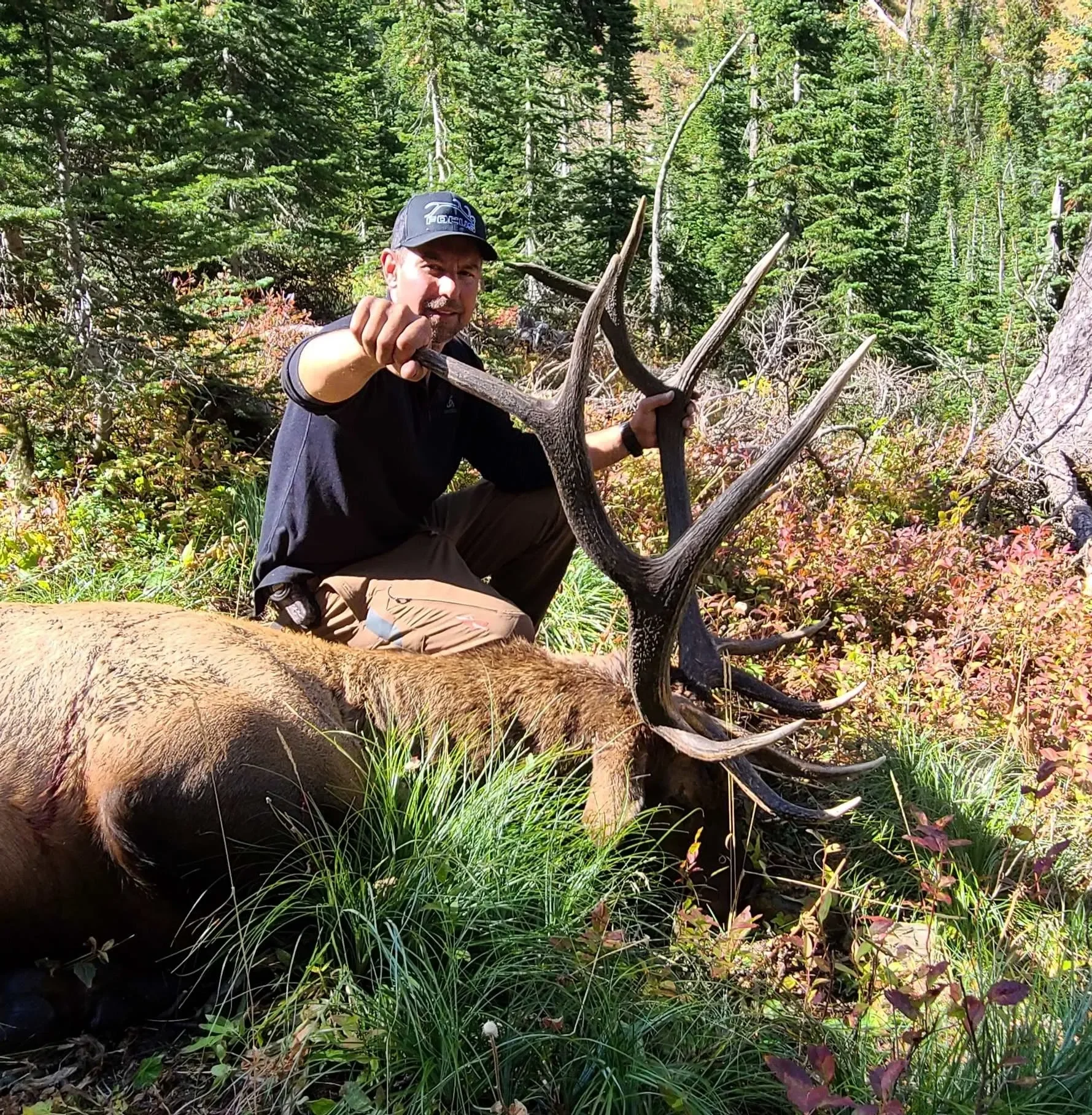 How to become a better elk hunter.