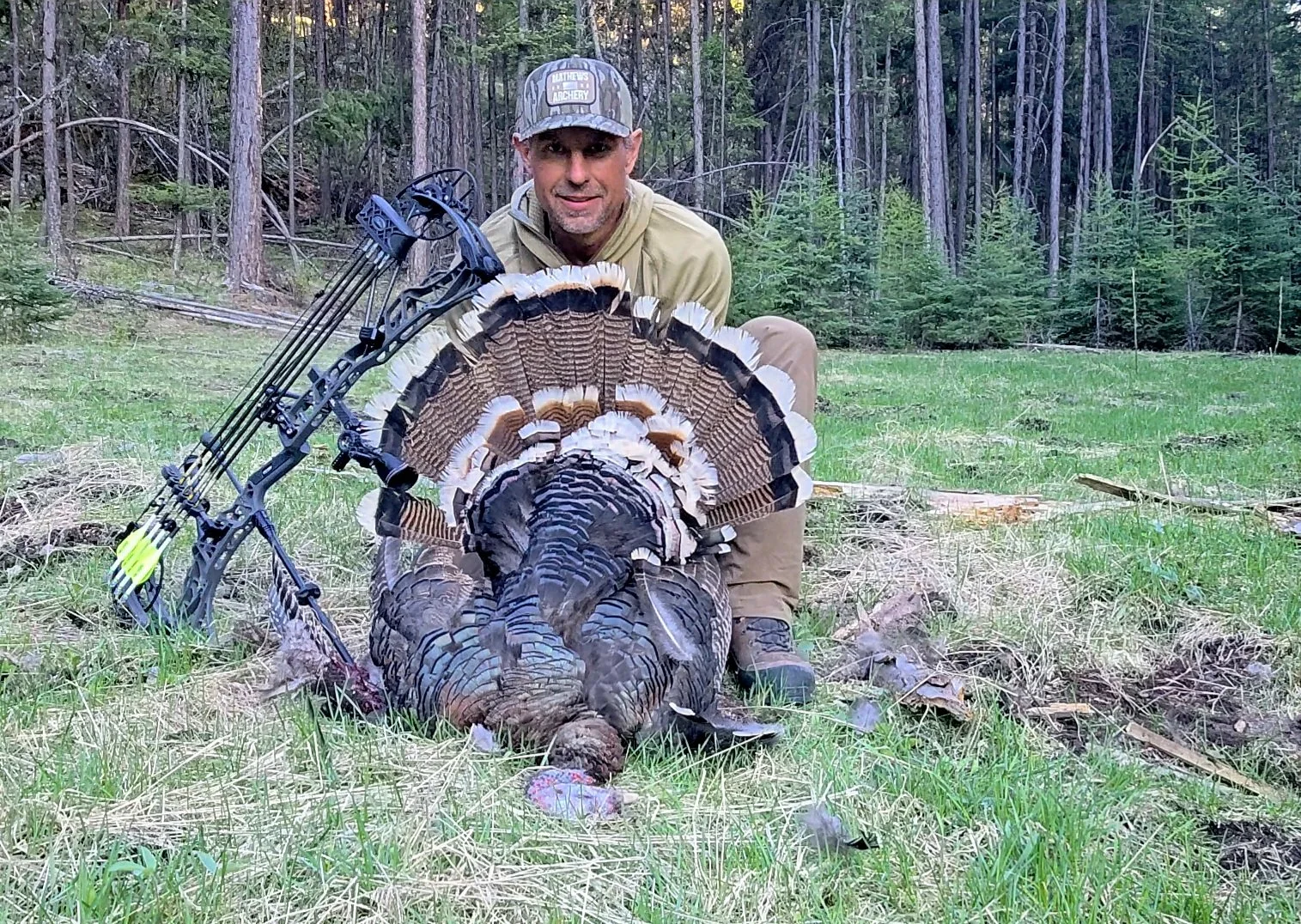 The best broadhead for turkey