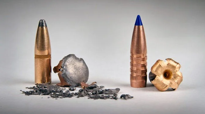 The End of Lead? — What a Non-Lead Future Could Mean for Hunting in B.C.