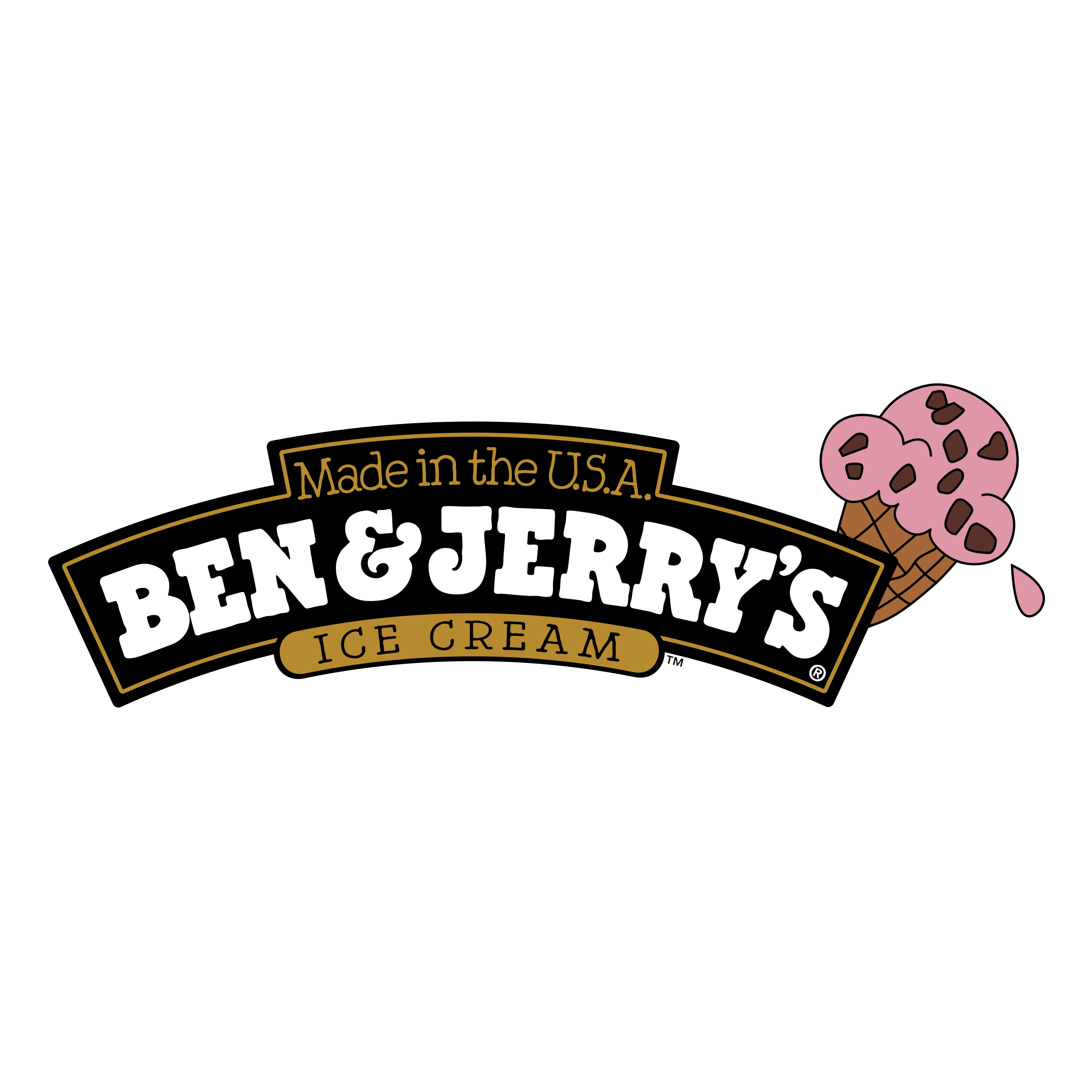Communications and Media Plan: Ben and Jerry's