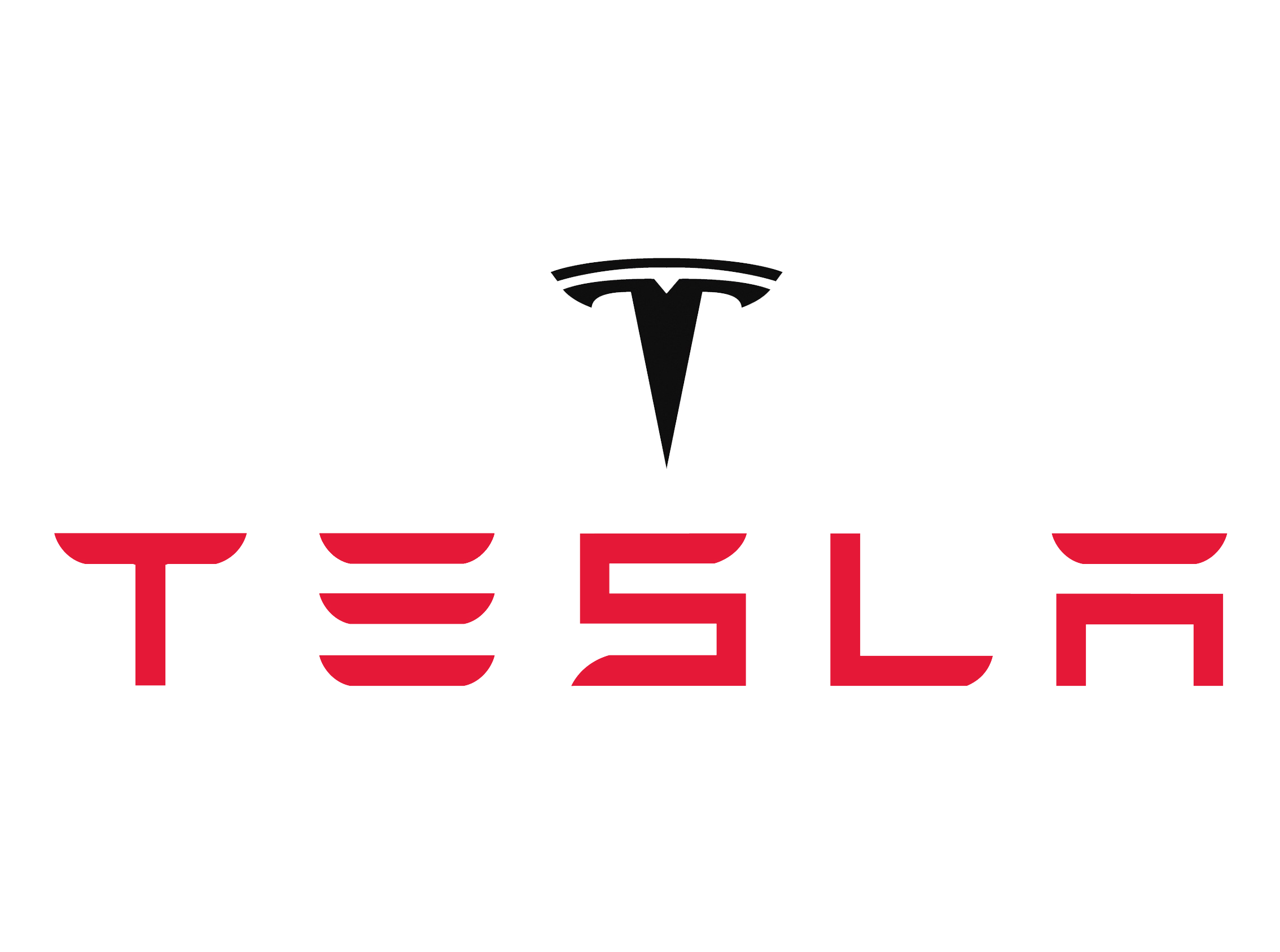 Global Brand Expansion Pitch: Tesla in Argentina