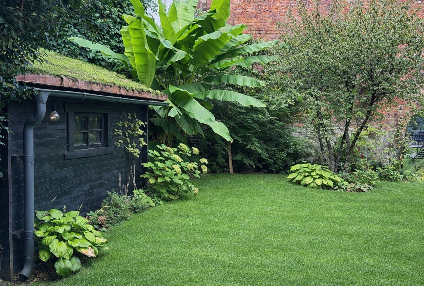 Un jardin à l'ombre du bananier