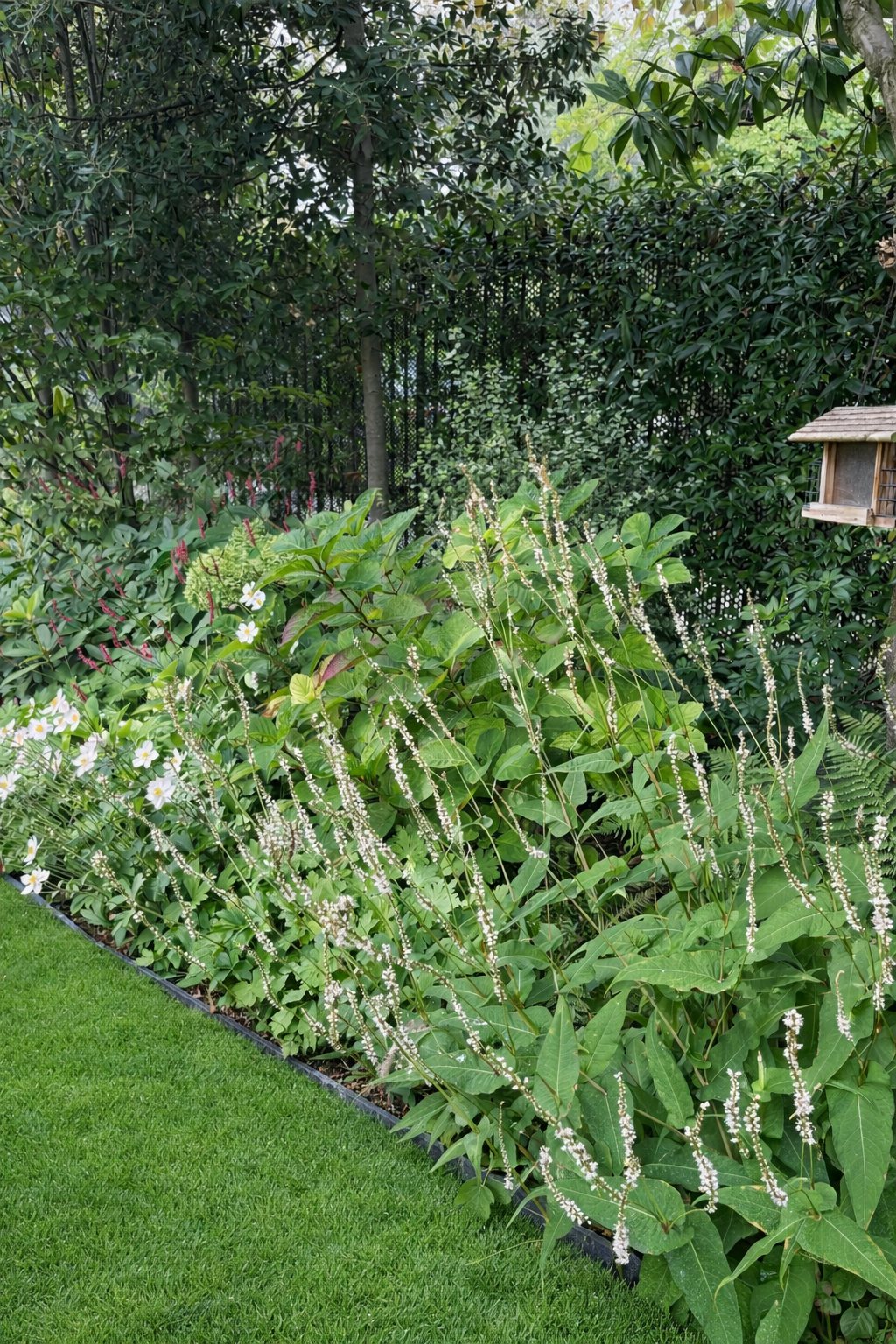 massifs fleuris pour jardin paysagers urbains