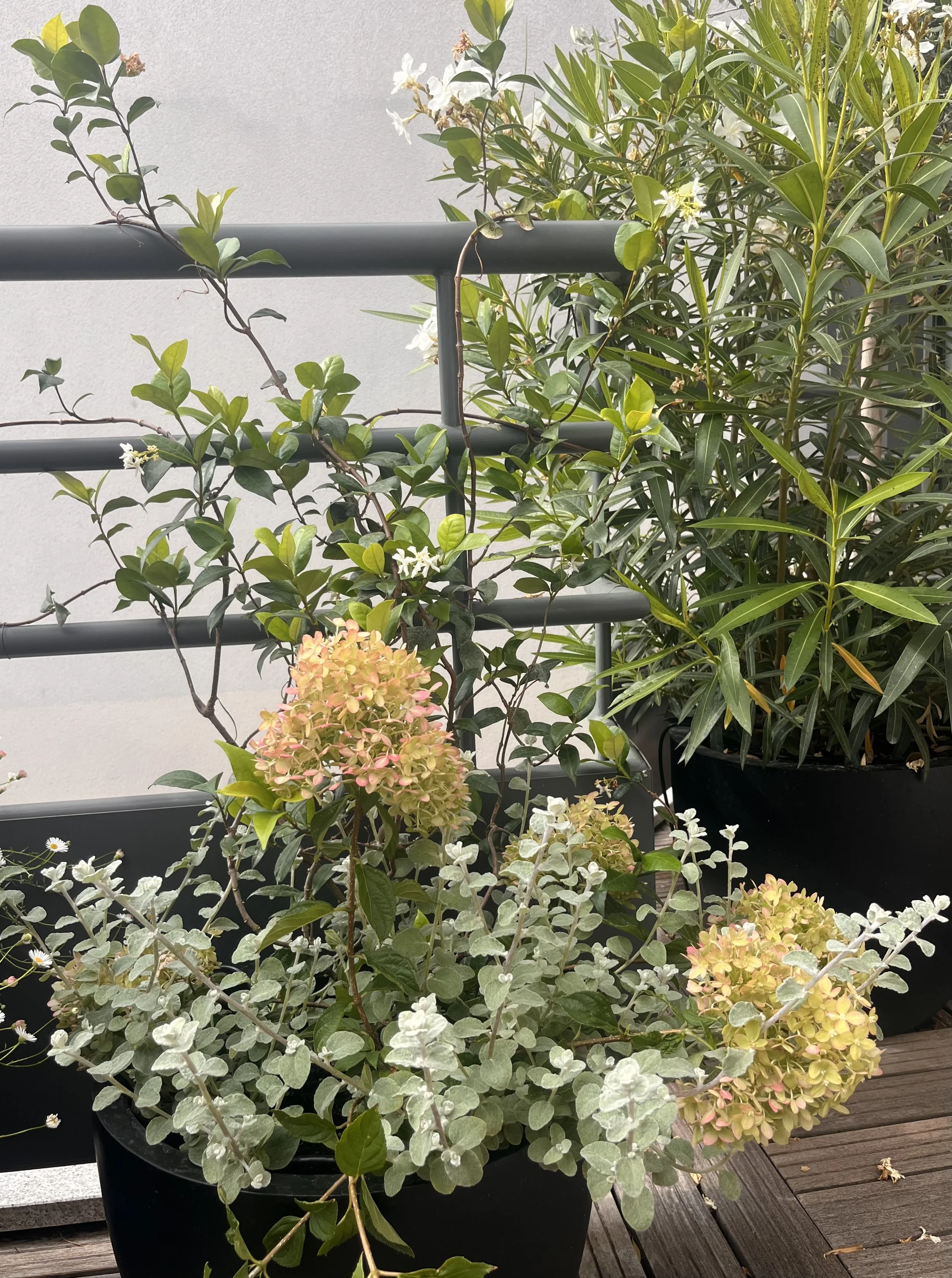Une terrasse en vert & blanc