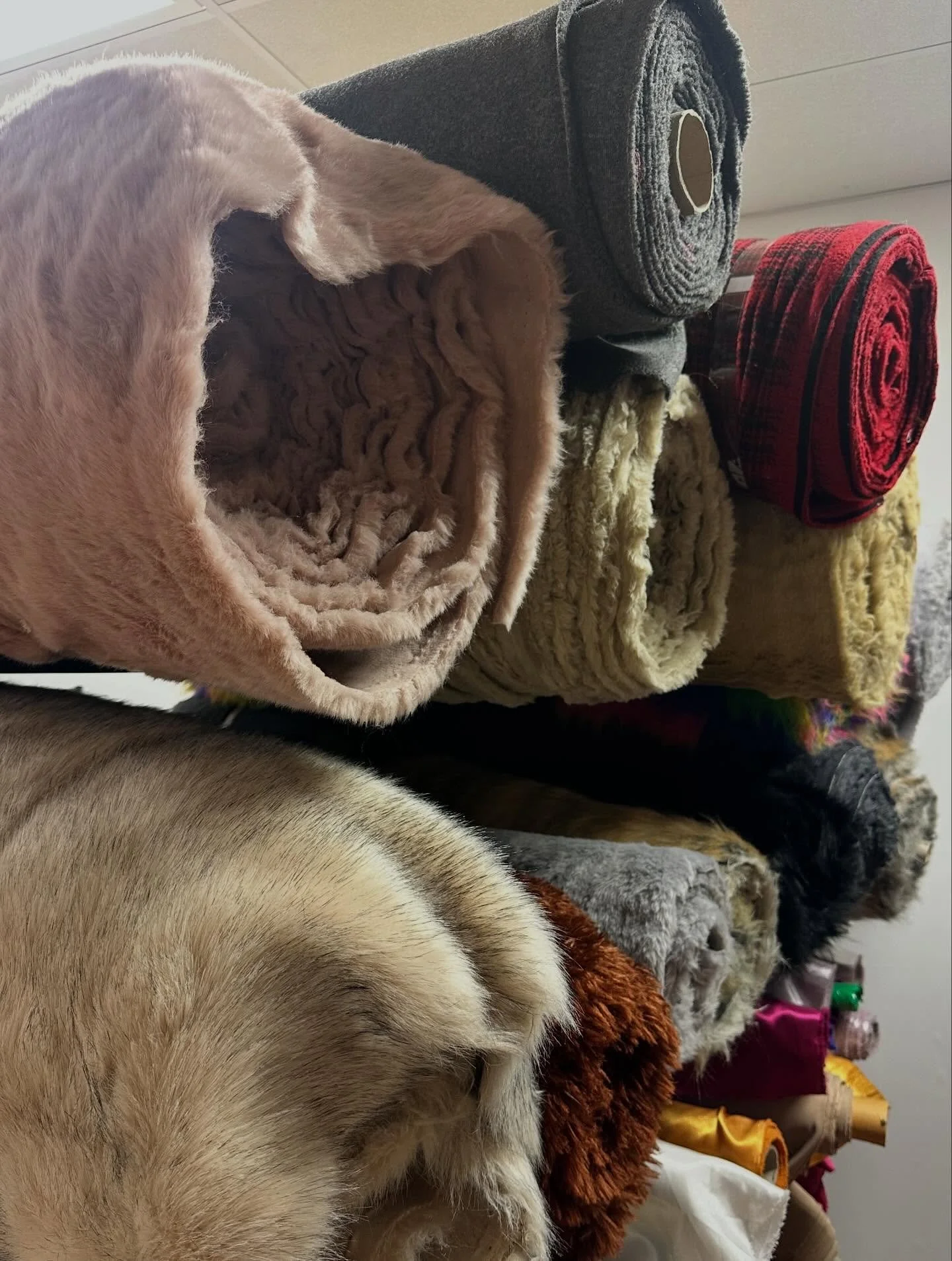 The fluffiest fur in town 😮&zwj;💨