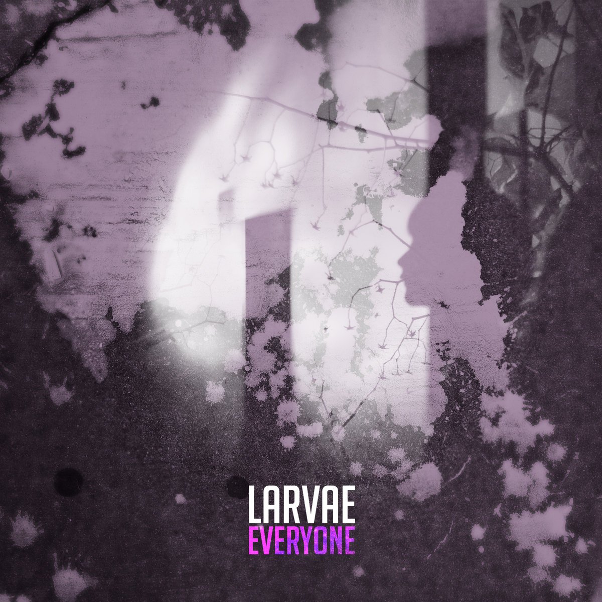 Cover art for the EP, "Everyone" by Larvae. Mixed by Jeremy Wilkins.
