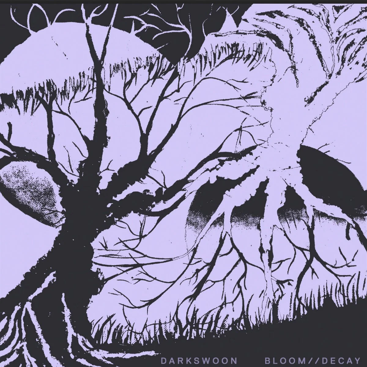 Cover. art for the album, "Bloom Decay" by Darkswoon. Produced and mixed by Jeremy Wilkins.