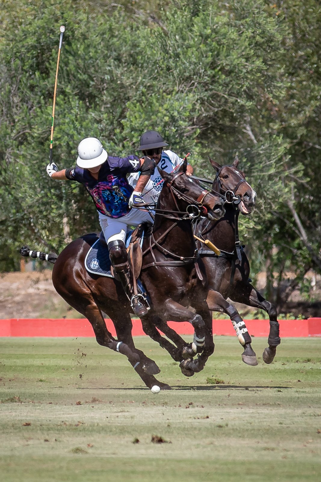 2025 Horizon Cup-41.jpg
