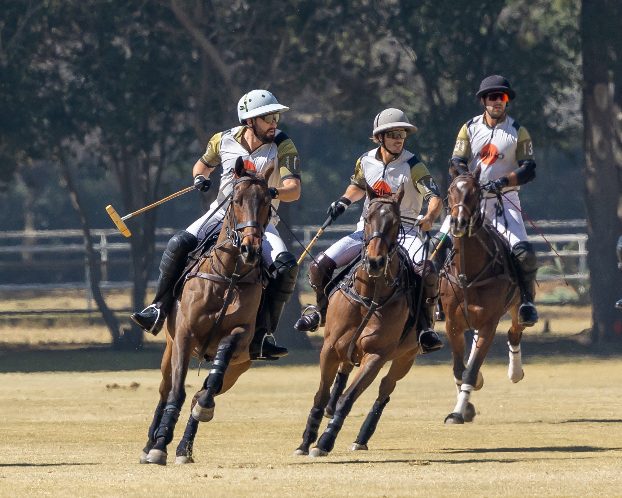 Polo players riding horses in action polo game ARHO team