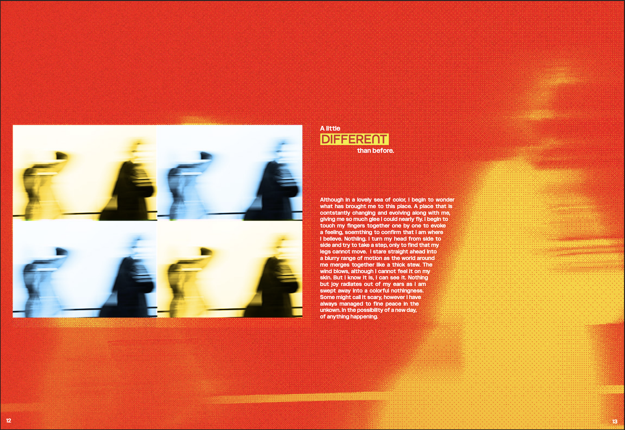 Ce N'est Pas Reel \ Collaboration between Mills Lynerd (Graphic Design and Typography), Lindsey Jordan (Photography), and me (Photography) \ pg 12/13