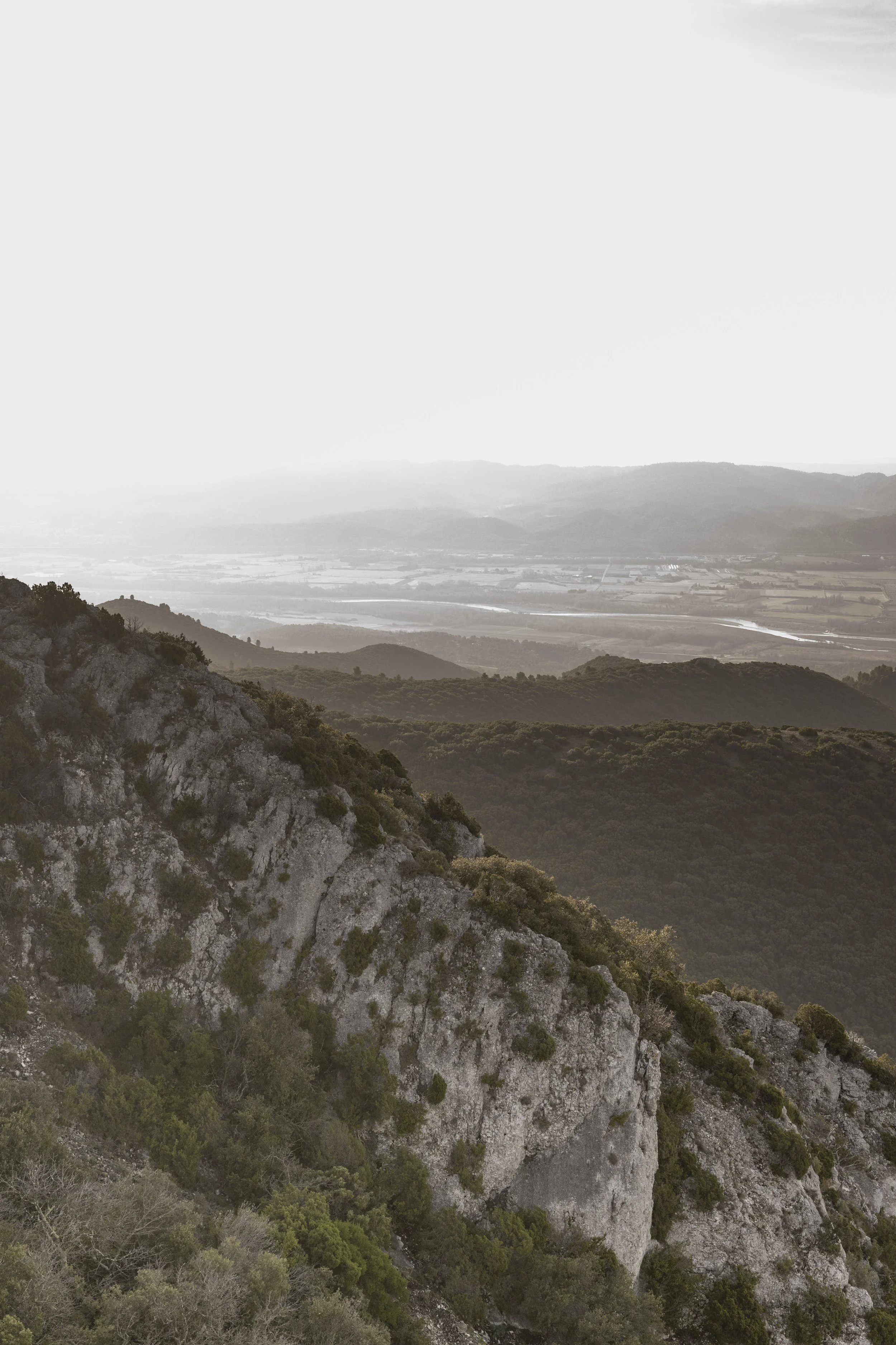 Forêt des Cèdres, France, January 2026