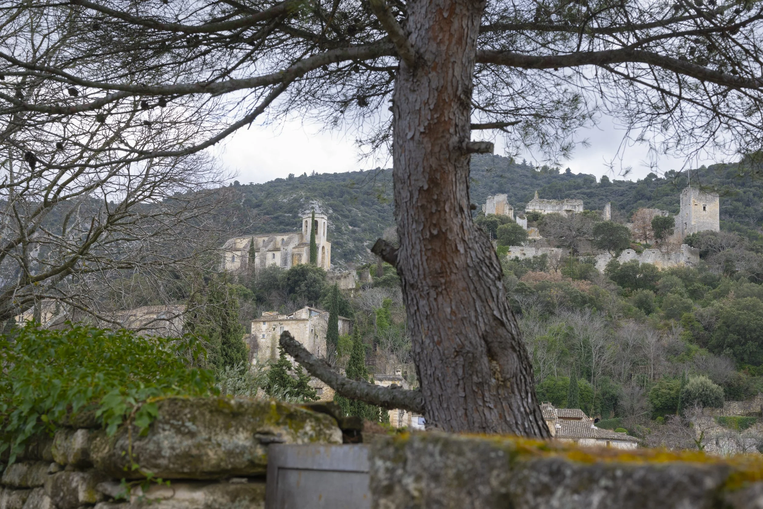Oppéde-le-Vieux, France, January 2026