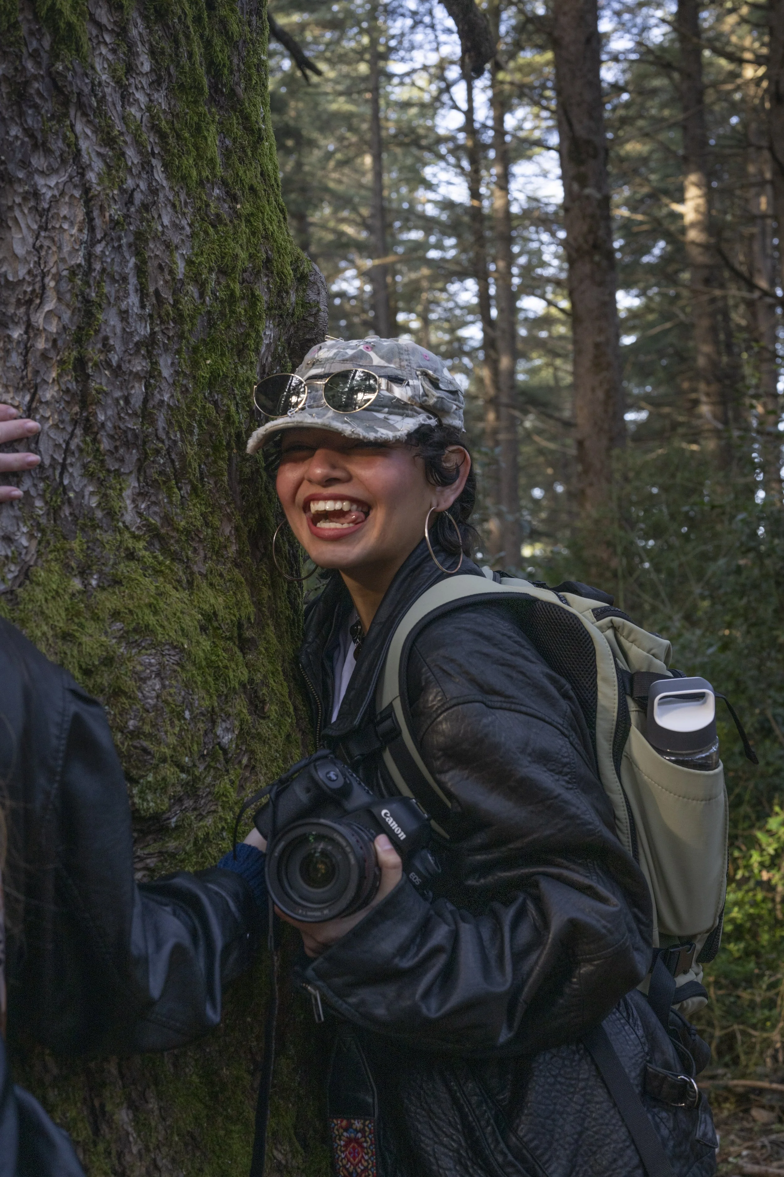Forêt des Cèdres, France, January 2026