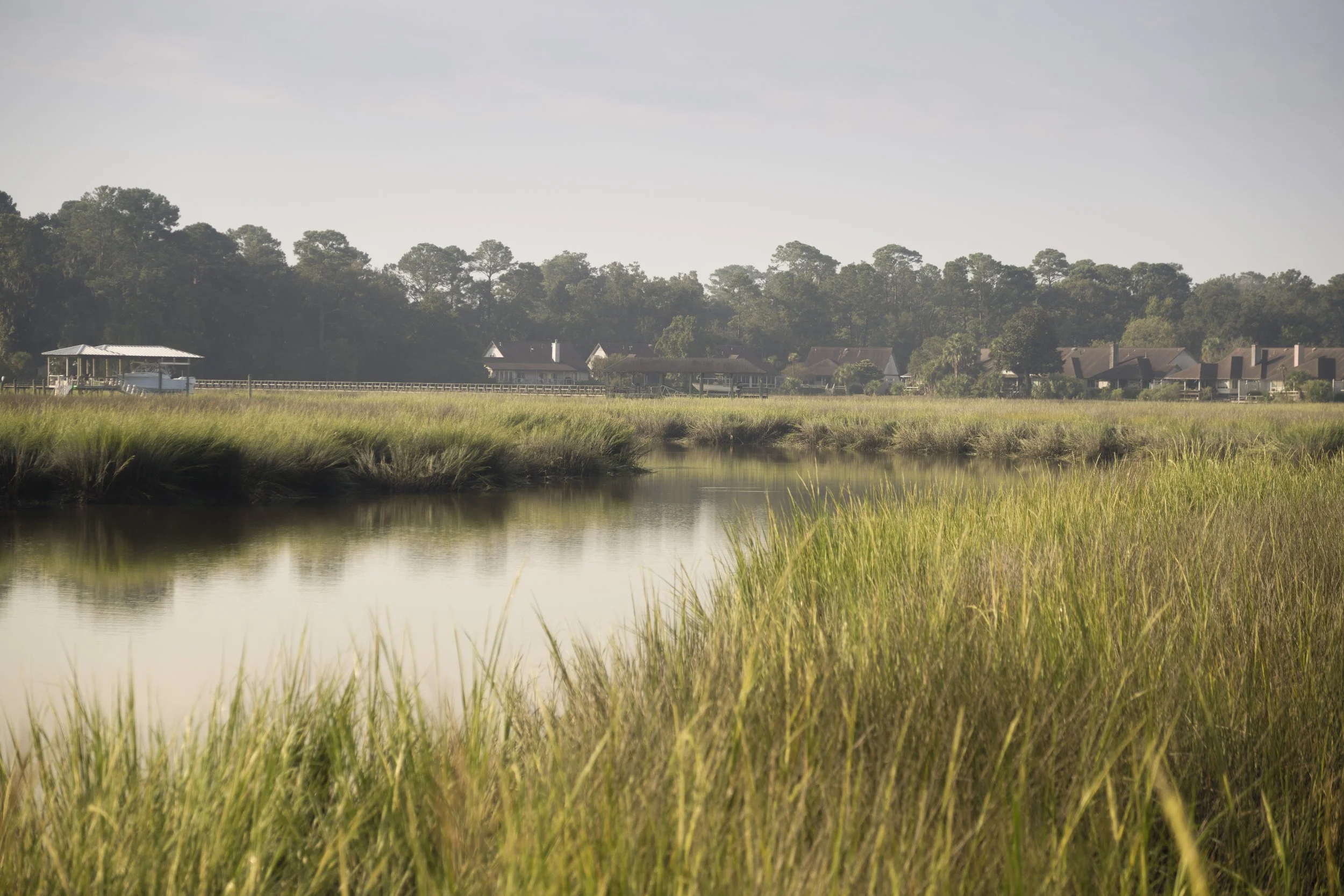 Oatland Island Project-4.jpg