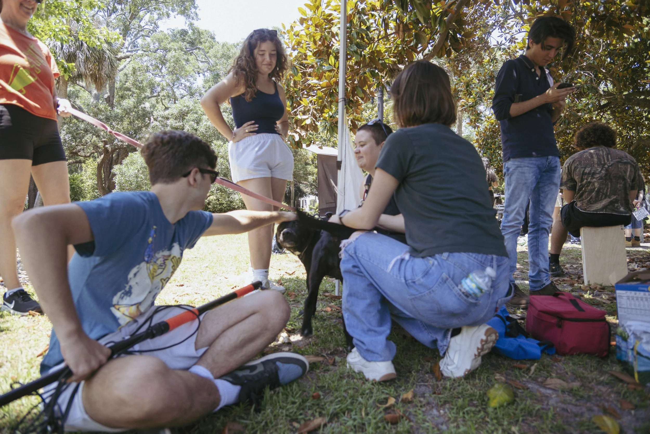 The Briefcase_001.jpg