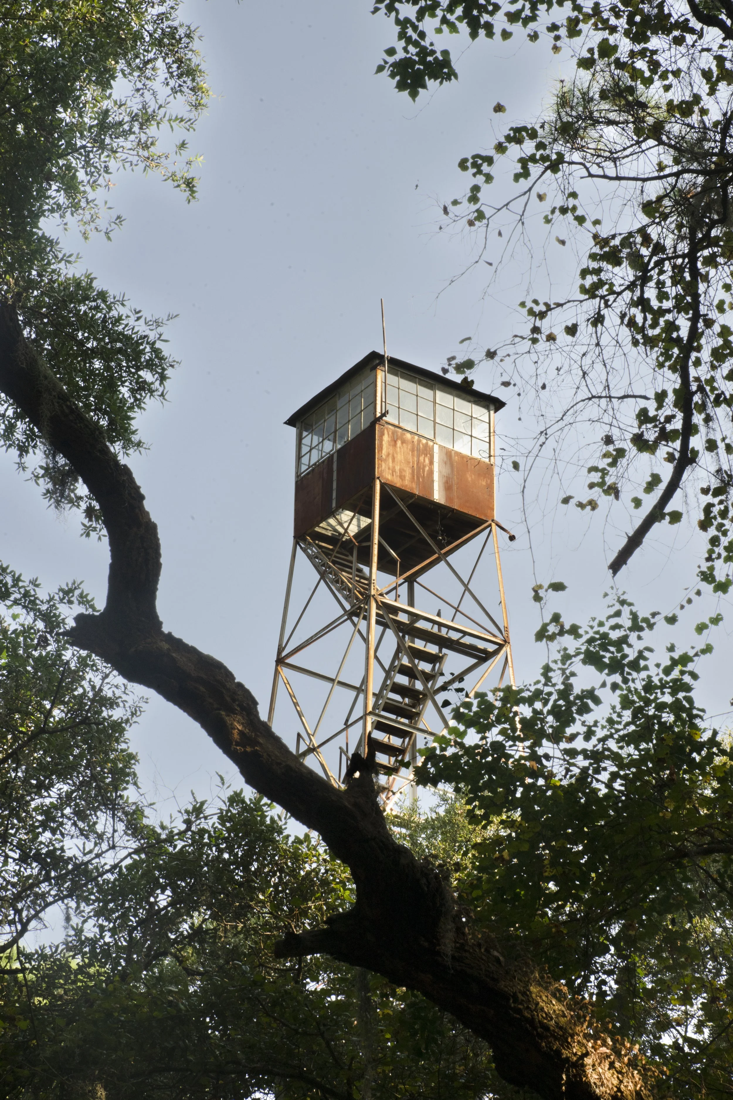 Oatland Island Project-6.jpg