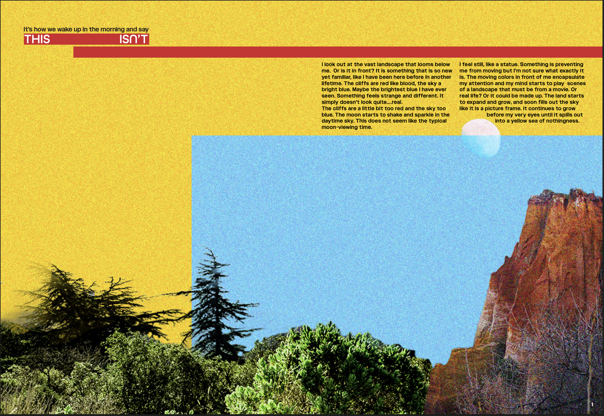 Ce N'est Pas Reel \ Collaboration between Mills Lynerd (Graphic Design and Typography), Lindsey Jordan (Photography), and me (Photography) \ pg 1