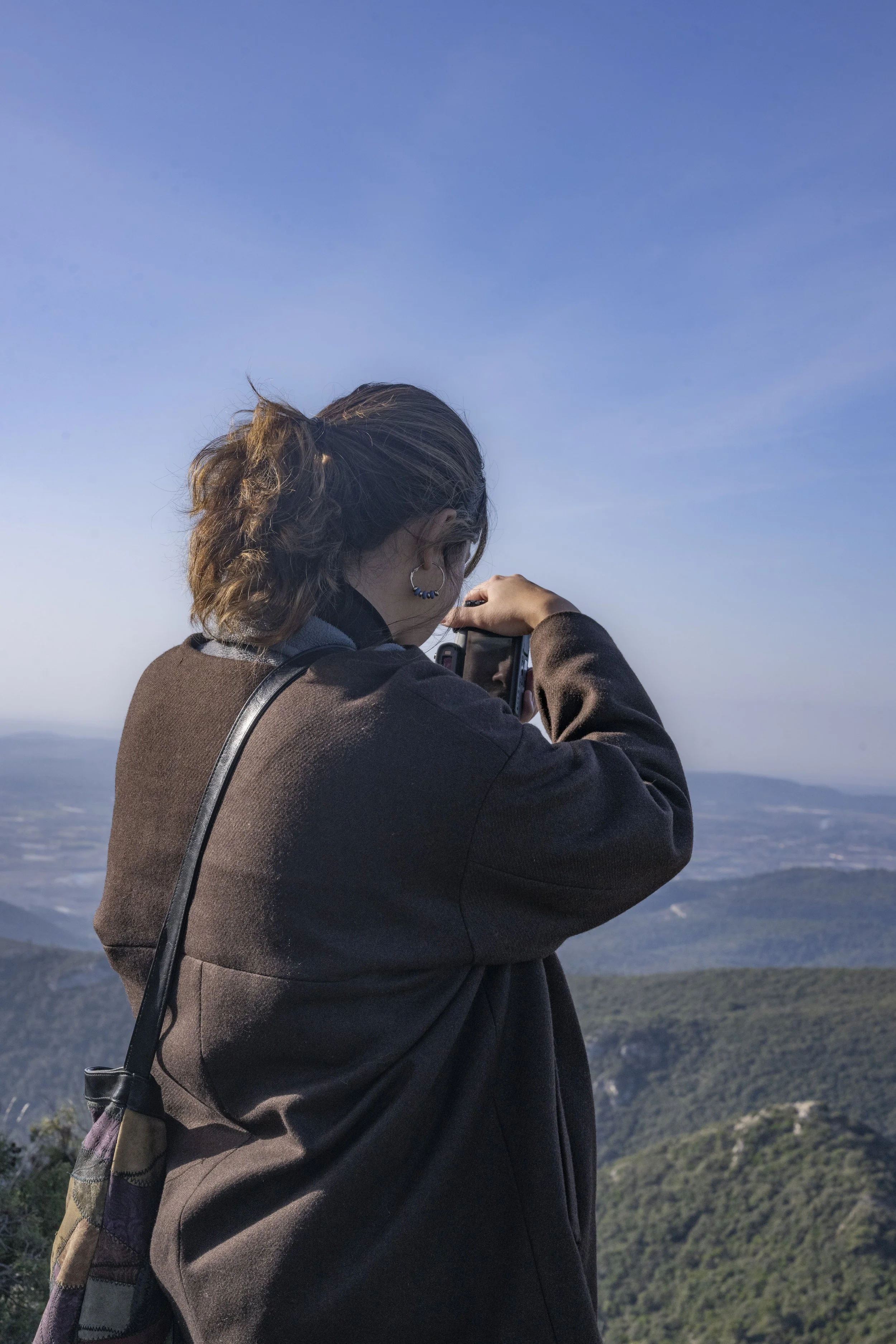 Forêt des Cèdres, France, January 2026