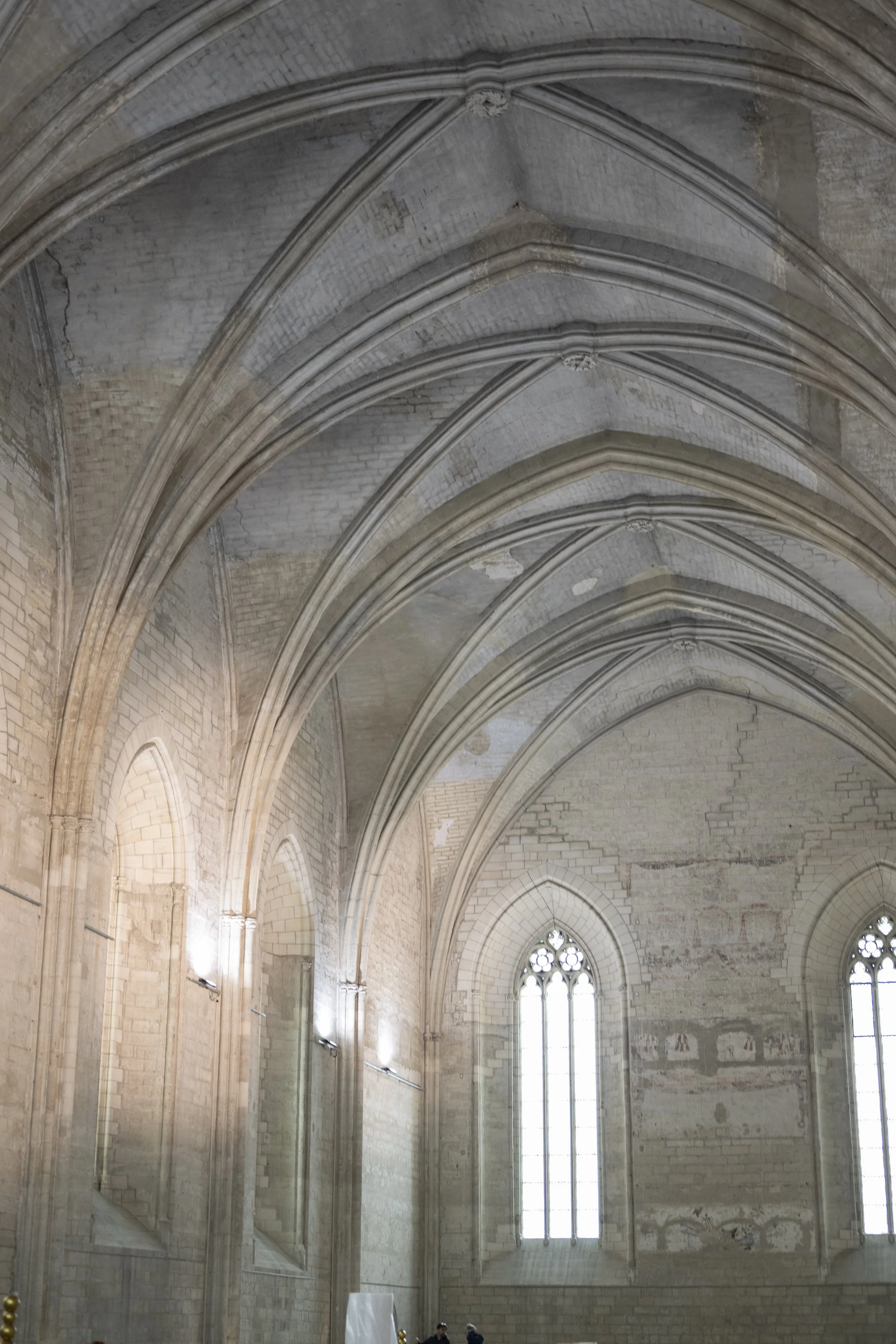 Palais des Papes, Avignon, France, January 2026