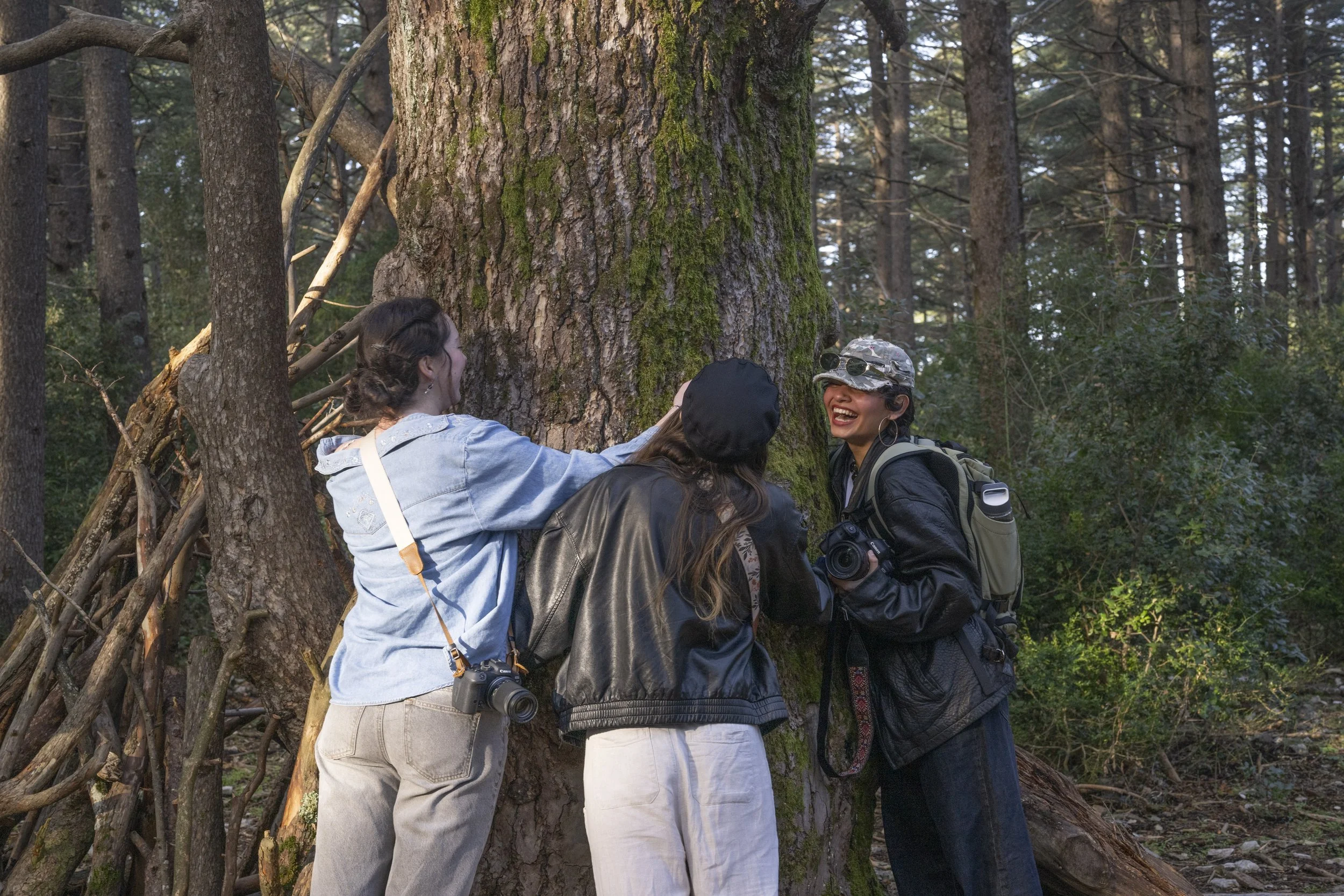 Forêt des Cèdres, France, January 2026